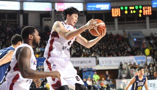 /사진제공=kbl