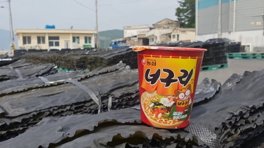 /사진제공=농심