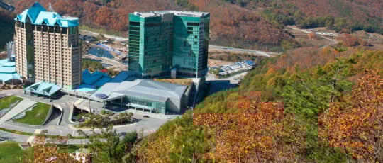 /사진제공=하이원