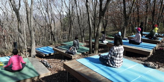 /사진제공=하이원