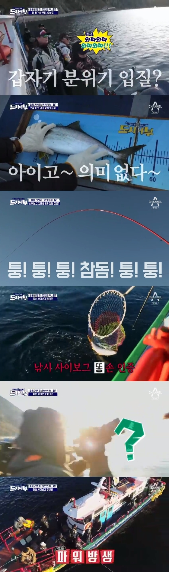 /사진=채널A \'나만 믿고 따라와, 도시어부\' 방송화면 캡처
