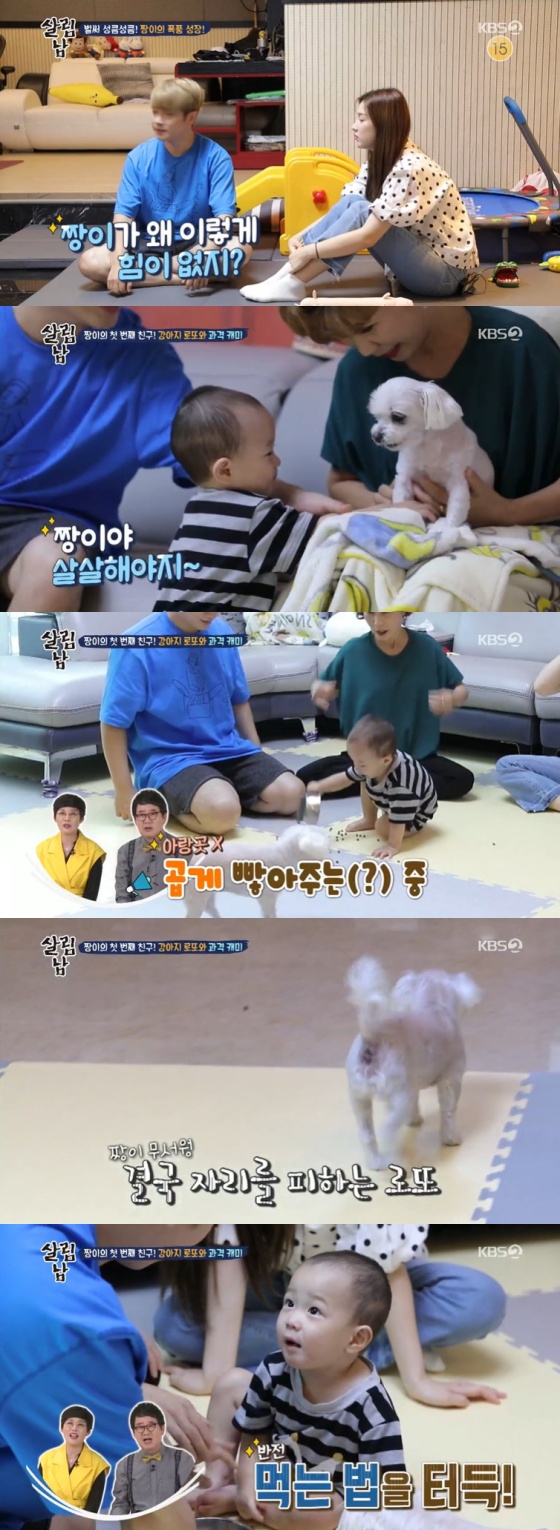 /사진=KBS 2TV 예능 프로그램 \'살림하는 남자들2\' 방송 캡쳐