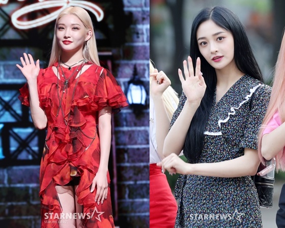 청하, 주결경/사진=스타뉴스