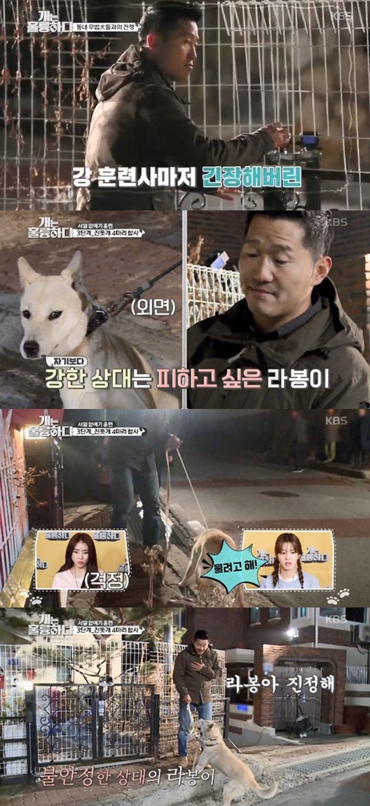 /사진=\'개는 훌륭하다\' 방송 화면