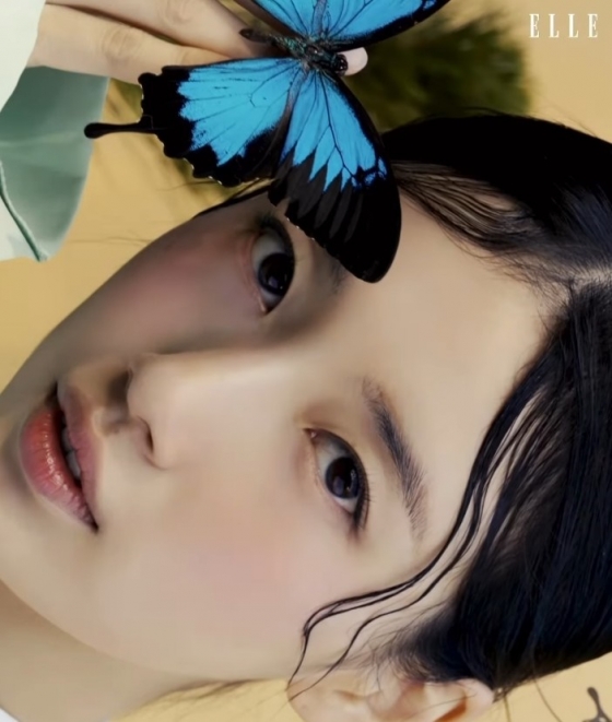 뉴스이미지