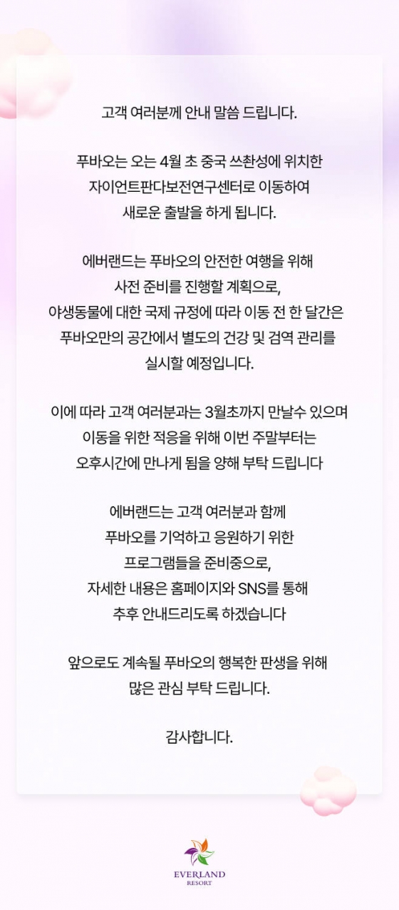 푸바오, 4월 중국 쓰촨성 귀환 "기억하기 위한 프로그램 준비中"[전문]