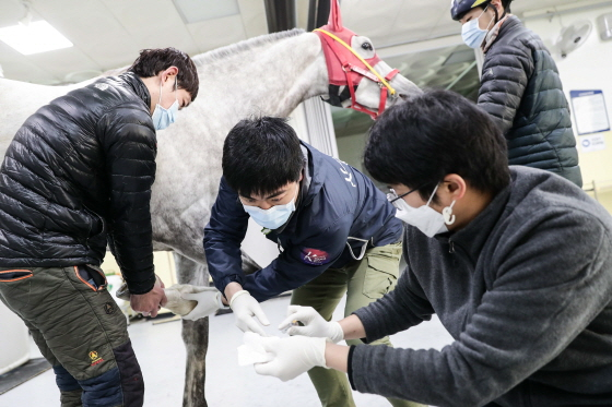 /사진제공=한국마사회