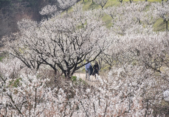 뉴스이미지