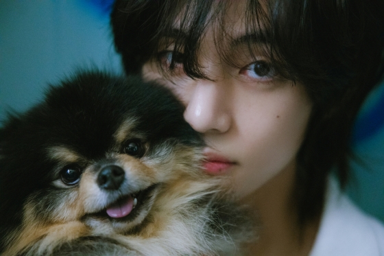 '장르가 김태형' 방탄소년단 뷔, 트렌드 초월 '완벽 비주얼'