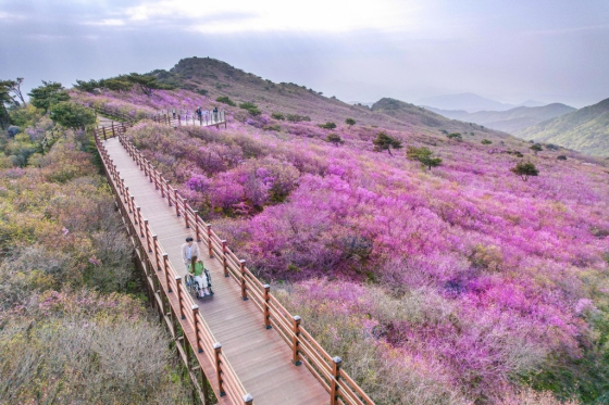 대구 비슬산 군립공원