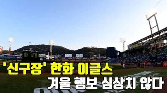 /그래픽=이원희 기자