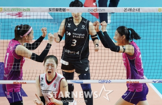 뉴스이미지