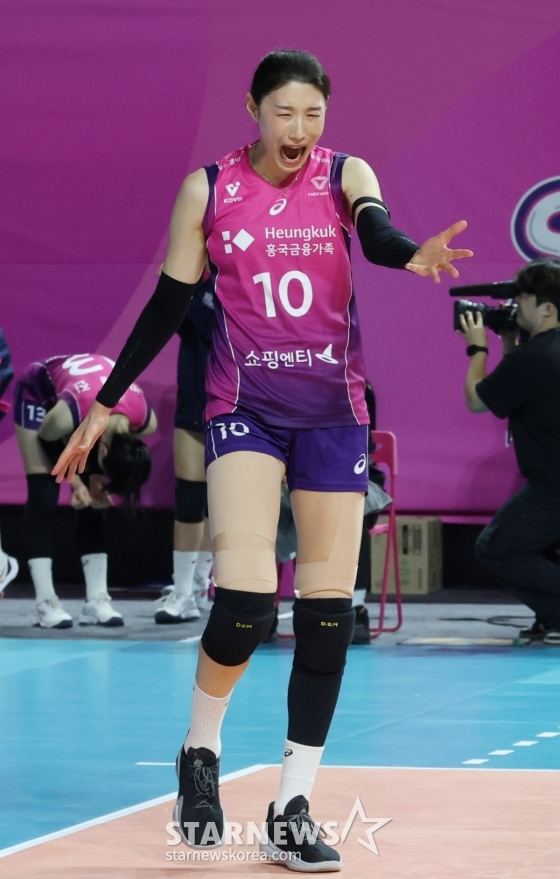 뉴스이미지