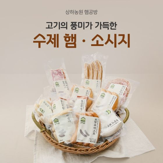 뉴스이미지