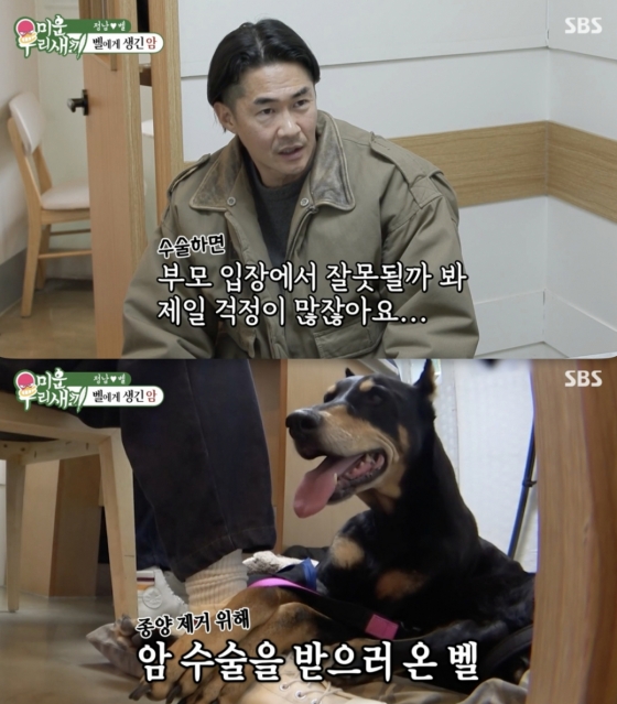 뉴스이미지