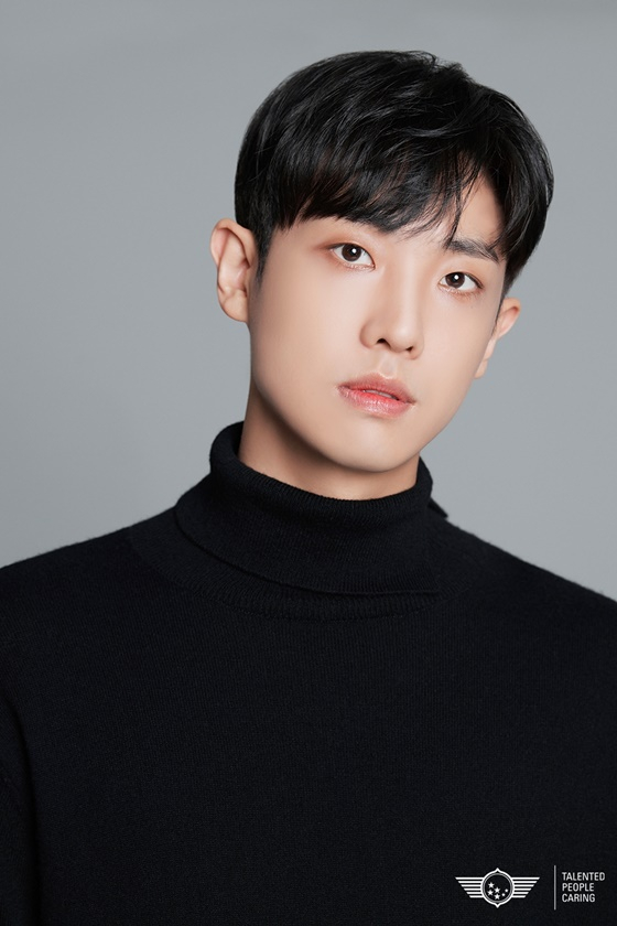 뉴스이미지