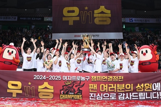 뉴스이미지