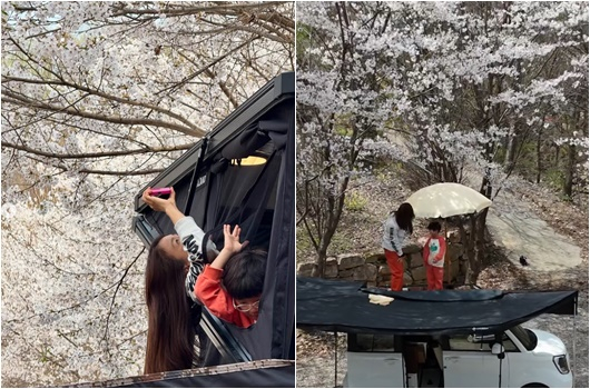 뉴스이미지