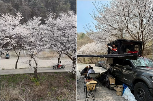 /사진=이시영 개인계정
