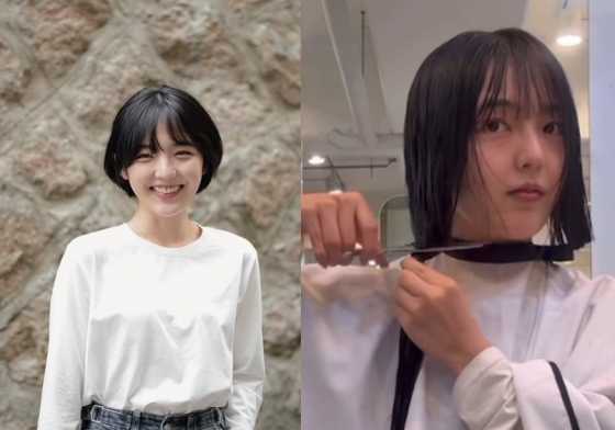 뉴스이미지