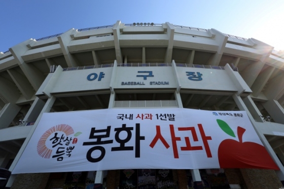 뉴스이미지