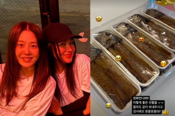 뉴스이미지