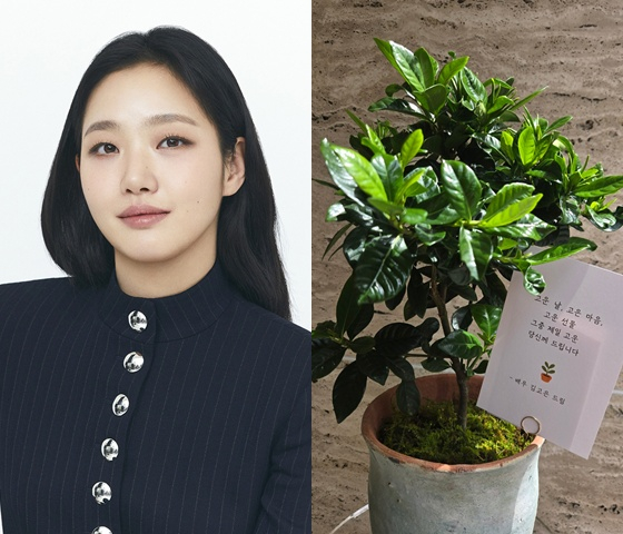 /사진=BH엔터테인먼트