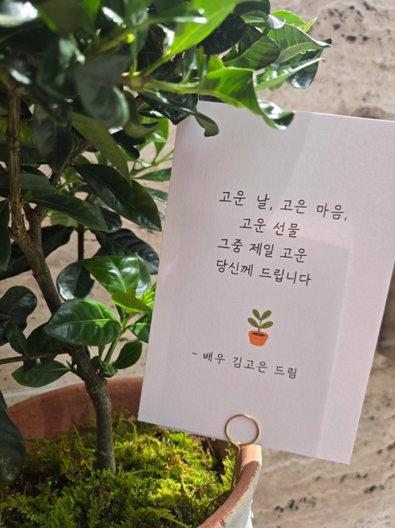 /사진=BH엔터테인먼트