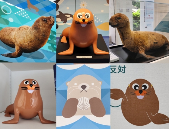 전시관 곳곳에서 독도 강치를 활용한 전시  