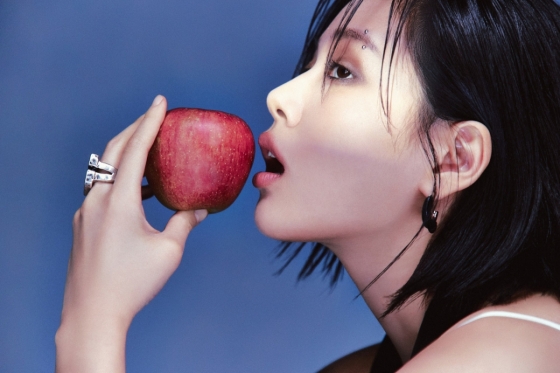 뉴스이미지