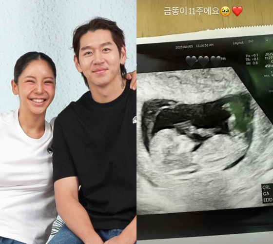 뉴스이미지