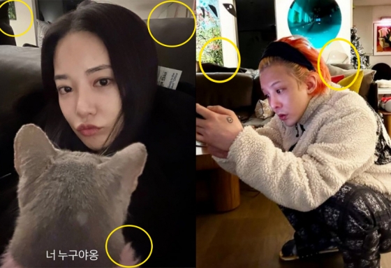  이주연, 지드래곤 /사진=이주연