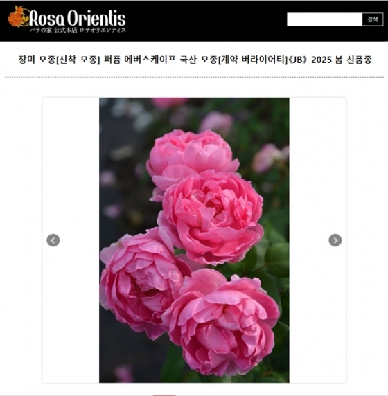 에버랜드 퍼퓸에버스케이프 판매 사이트
