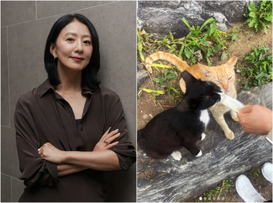 /사진=김희애 개인계정