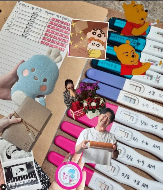 /사진=박보미