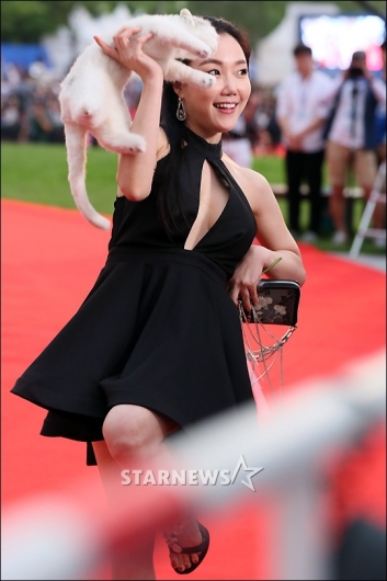 김혜진-낸시랭-손정민 '과감한 노출' - 머니투데이 김혜진-낸시랭-손정민 '과감한 노출' - 머니투데이