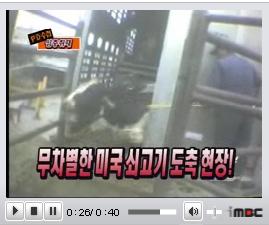 ↑MBC PD수첩 방송화면 캡처