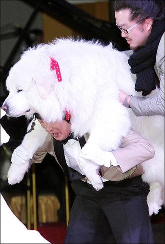 결혼식에서 상근이를 업고 체력을 뽐내던 개그맨 이수근