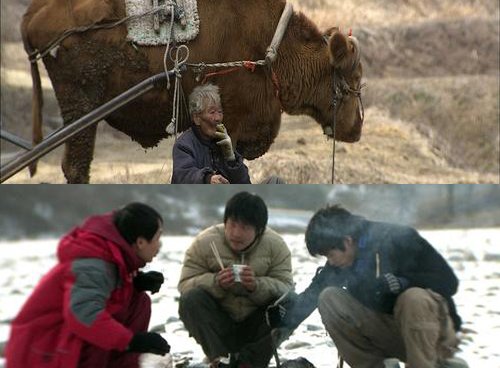 '워낭소리' '낮술'(아래) <사진출처=영화스틸>