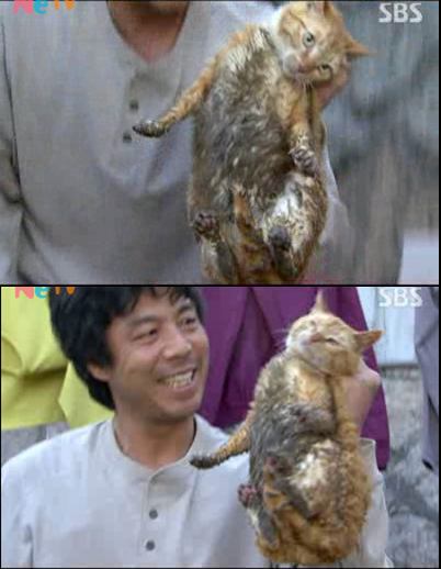 SBS '커피하우스'의 논란이 됐던 고양이 학대 장면 <사진출처=화면캡처>