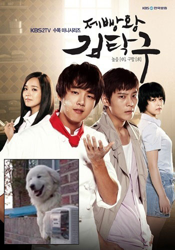 '제빵왕 김탁구'(작은 사진은 지난 5월 SBS 'TV동물농장'에 출연한 삼식이 화면캡처)