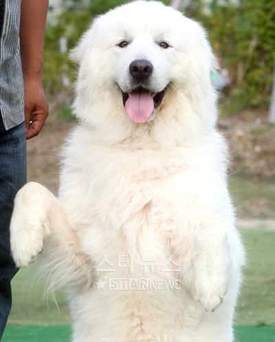 '1박2일' 상근이 ⓒ사진=홍봉진 기자