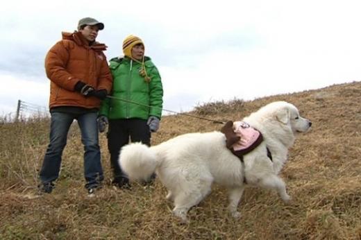 \'1박2일\'에서 이승기(왼쪽), 이수근과 함께 이동 중인 상근이 <사진=KBS>