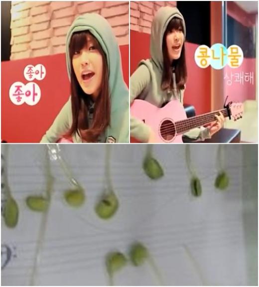 '콩나물 송' 영상(위), 한 네티즌이 콩나물 송 악보를 만든 것ⓒ'콩나물 송' 영상(위), 다음 텔존 네티즌 엄마만세(hanna****) 