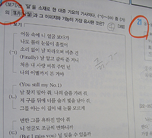 보아의 'No.1' 노랫말이 문제 보기로 쓰인 언어영역 교재 <사진출처=보아 트위터>