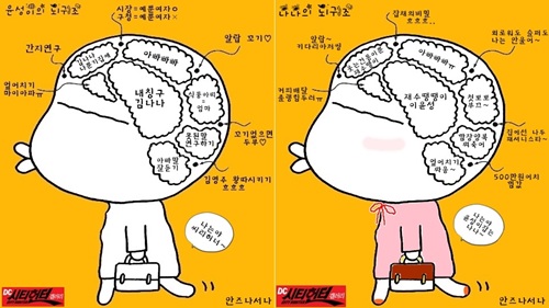 윤성이의 뇌구조(왼쪽)와 나나의 뇌구조 
