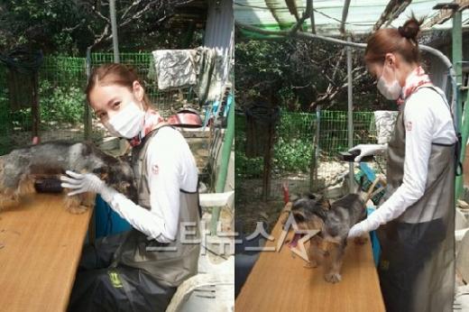 ⓒ사진=심은진 트위터