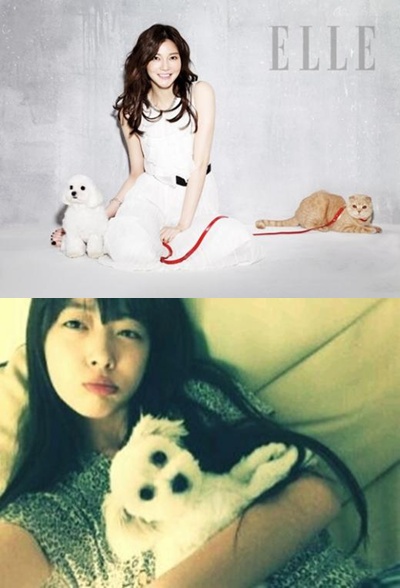 (위)차예련과 애완견 아리와 보리, 설리와 애완견 밥이 