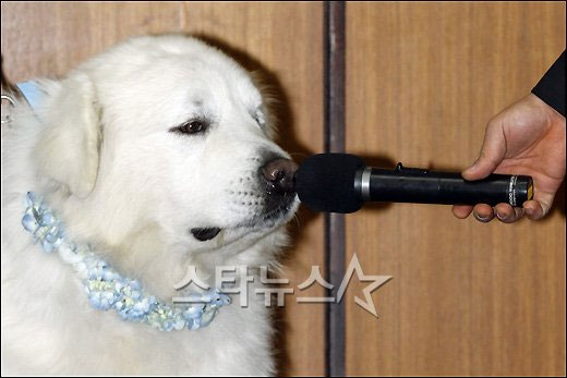 ⓒ사진=안은나 인턴기자