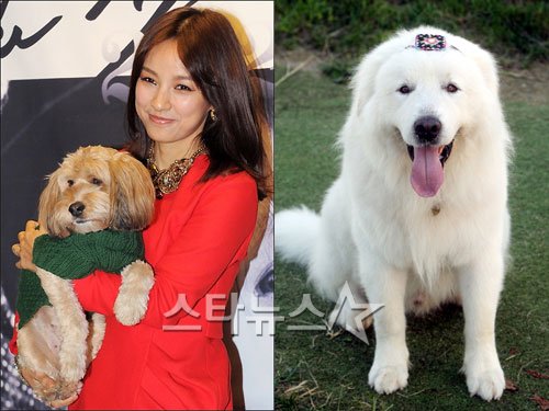 이효리와 함께한 순심이(왼쪽)와 상근이 ⓒ스타뉴스